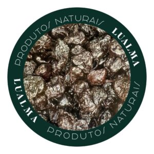 AMEIXA SEM CAROÇO (100g)