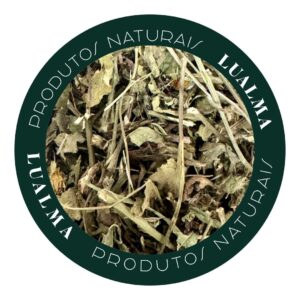 DENTE DE LEÃO (100g)