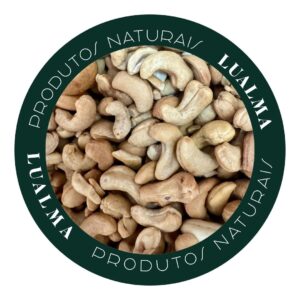 CASTANHA DE CAJU TORRADA C/SAL (100g)