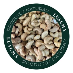 CASTANHA DE CAJU TORRADA S/SAL (100g)