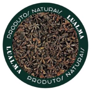 ANIS ESTRELADO (100g)