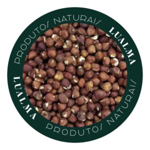 AVELÃ SEM CASCA CRUA (100g)