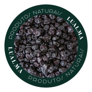 BLUEBERRY (MIRTILO ) - (100g)