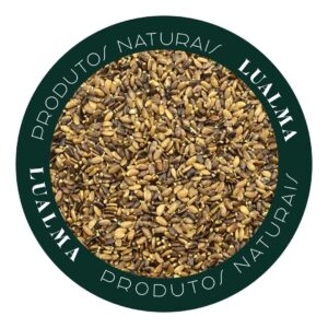 CARDO MARIANO (100g)