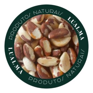 CASTANHA DO PARÁ INTEIRA (100g)