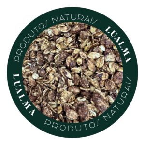 GRANOLA DE CHOCOLATE (100g)