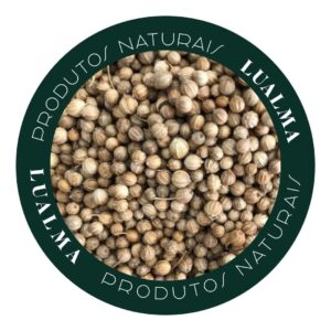 COENTRO EM GRÃO (100g)