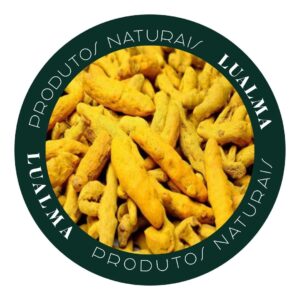 CÚRCUMA RAIZ (100g)