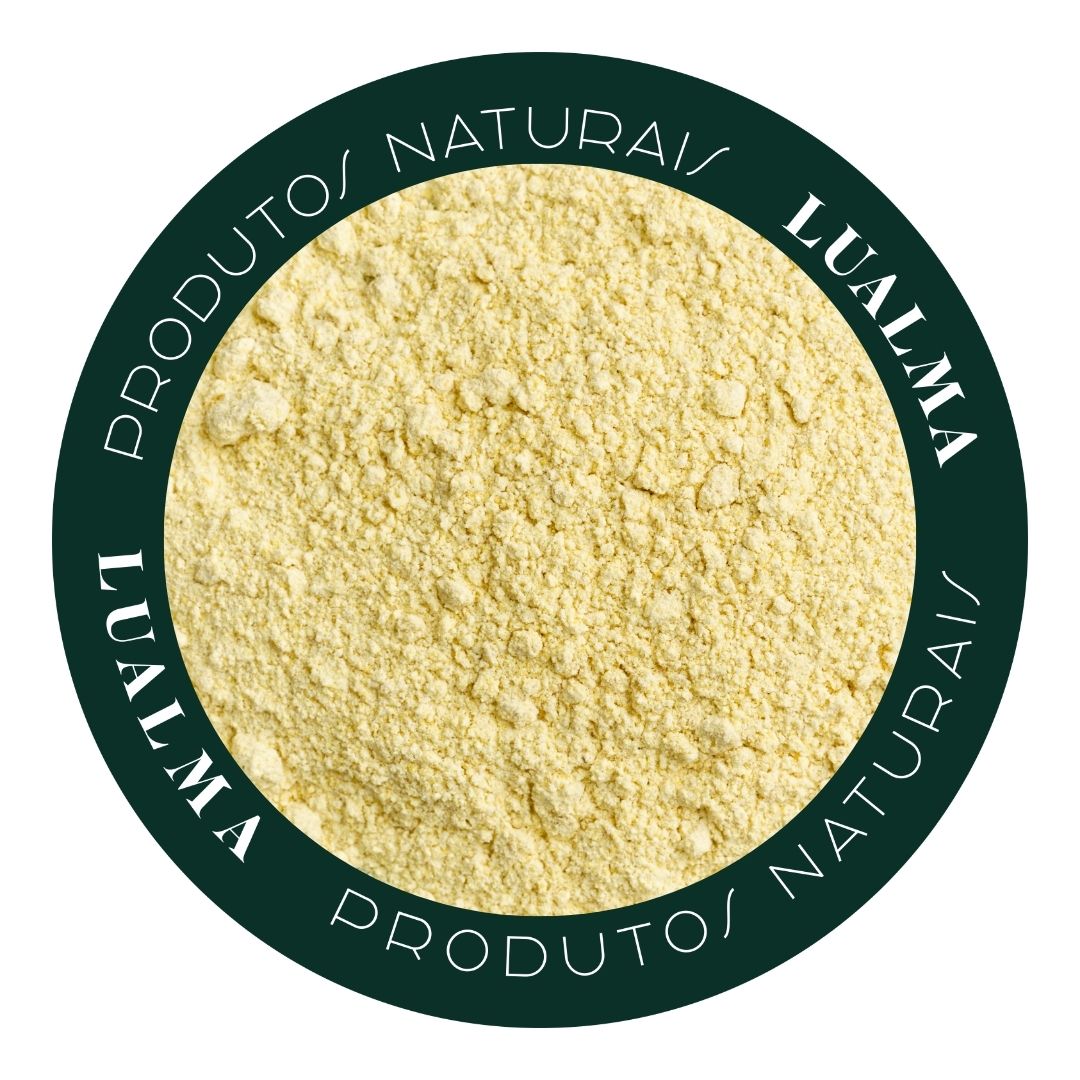 FARINHA DE GRÃO DE BICO (100g)