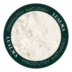 FARINHA ESPECIAL SEM GLÚTEN (100g)