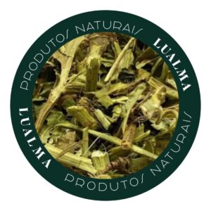 MARACUJÁ PASSIFLORA (100g)