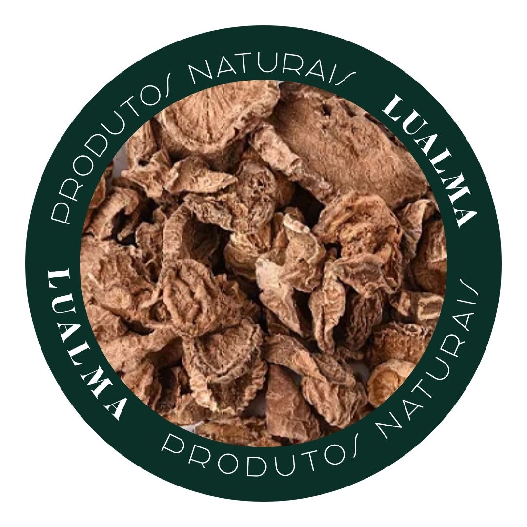 GARRA DO DIABO (100g)