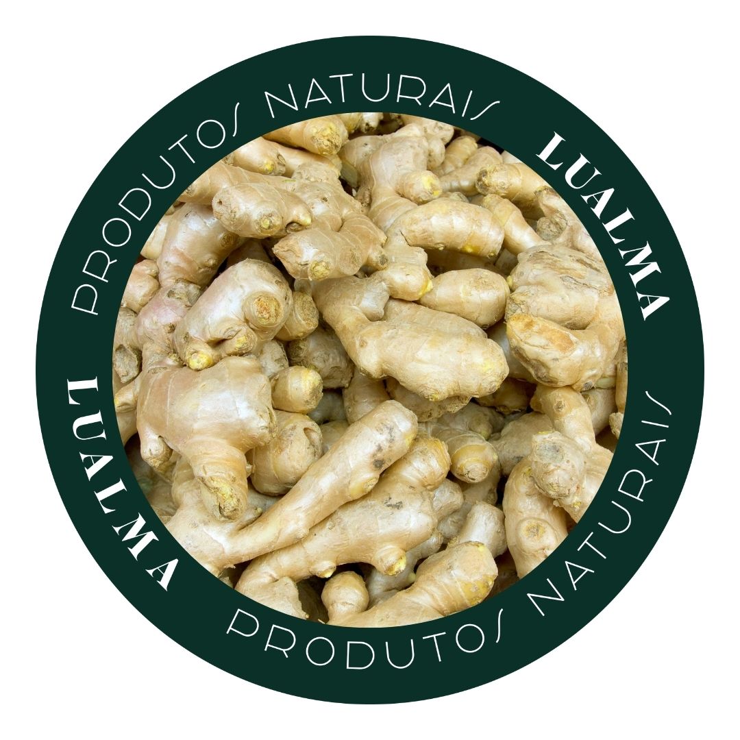 GENGIBRE DESIDRATADO (100g)