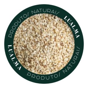 GERGELIM IN NATURA (100g)