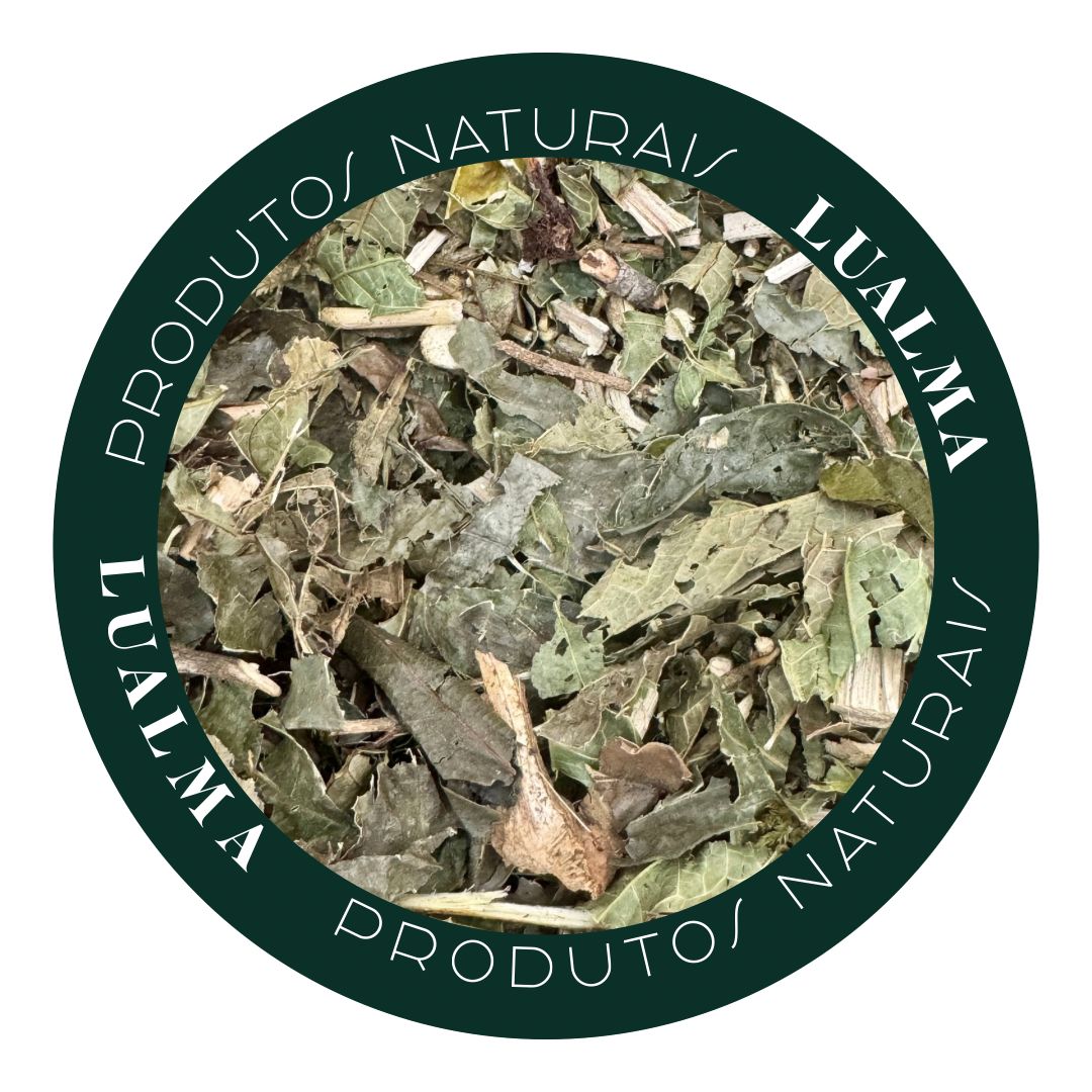 ESPINHEIRA SANTA (100g)