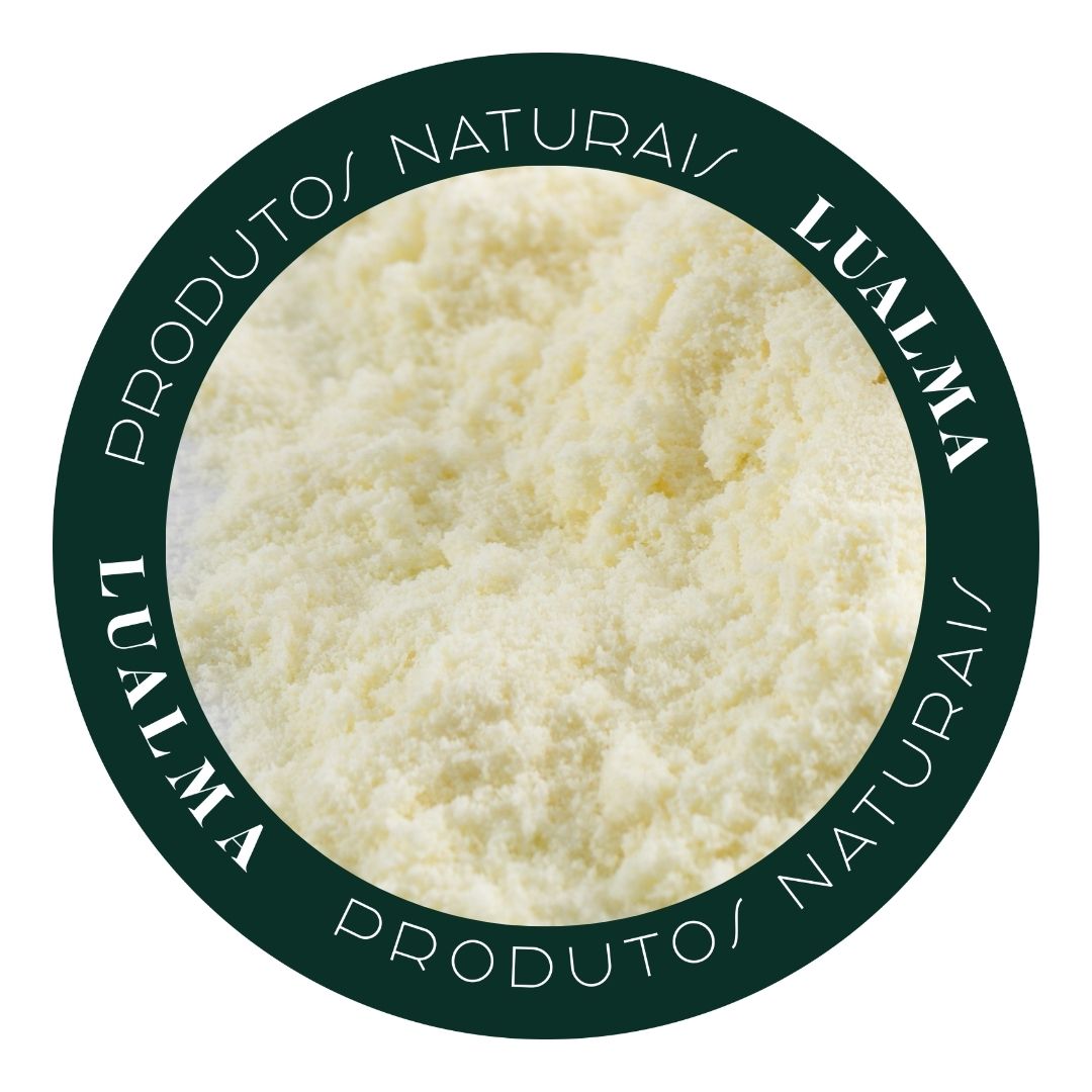 LEITE EM PÓ DESNATADO (100g)