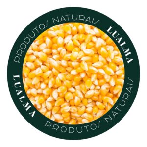 MILHO DE PIPOCA (100g)