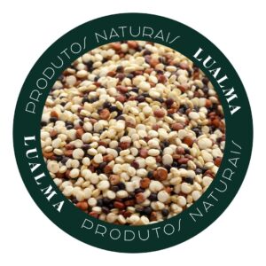 MIX DE QUINOA (100g)