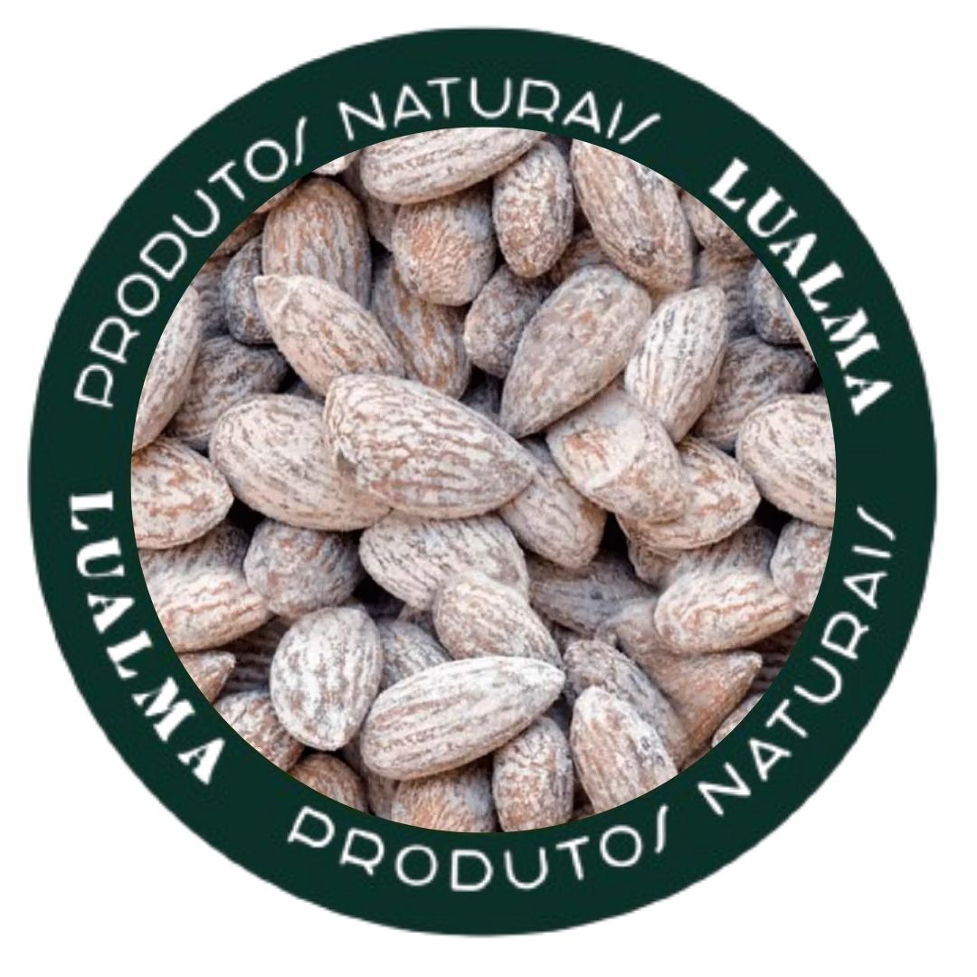 AMÊNDOA TORRADA COM SAL (100g)