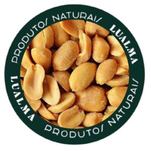 AMENDOIM TORRADO COM SAL (100g)