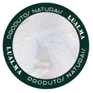 AMIDO DE MILHO (100g)