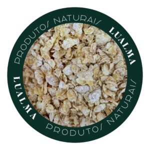 CORN SUGAR DE BANANA (100g)