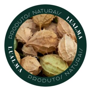 BUCHINHA DO NORTE (100g)