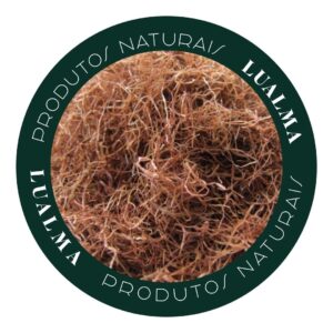 CABELO DE MILHO (100g)