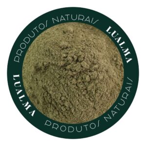 GINKGO BILOBA EM PÓ (100g)