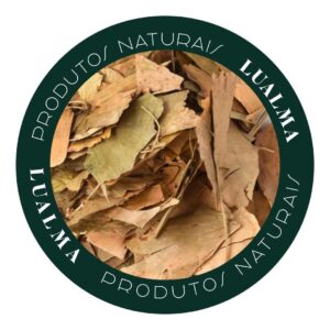 GINKGO BILOBA (100g)