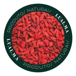 GOJI BERRY (100g)