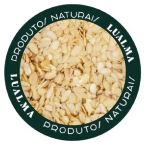AMÊNDOA LAMINADA (100g)