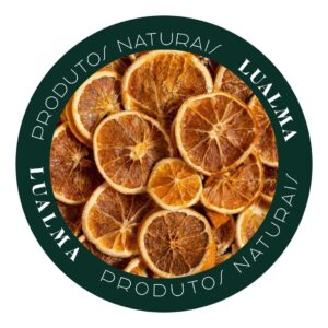 LARANJA RODELA DESIDRATADA (100ml)