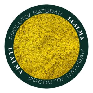 TEMPERO MINEIRO (100g)