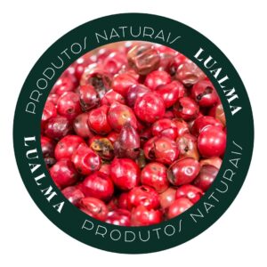 PIMENTA ROSA EM GRÃO (100g)