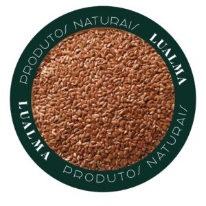 SEMENTE DE LINHAÇA MARROM (100g)