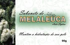 SABONETE DE MELALEUCA BIONATURE 90G