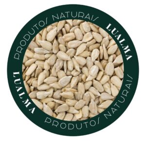 SEMENTE DE GIRASSOL (100g)