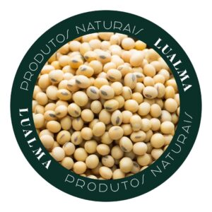 SOJA EM GRÃO (100g)