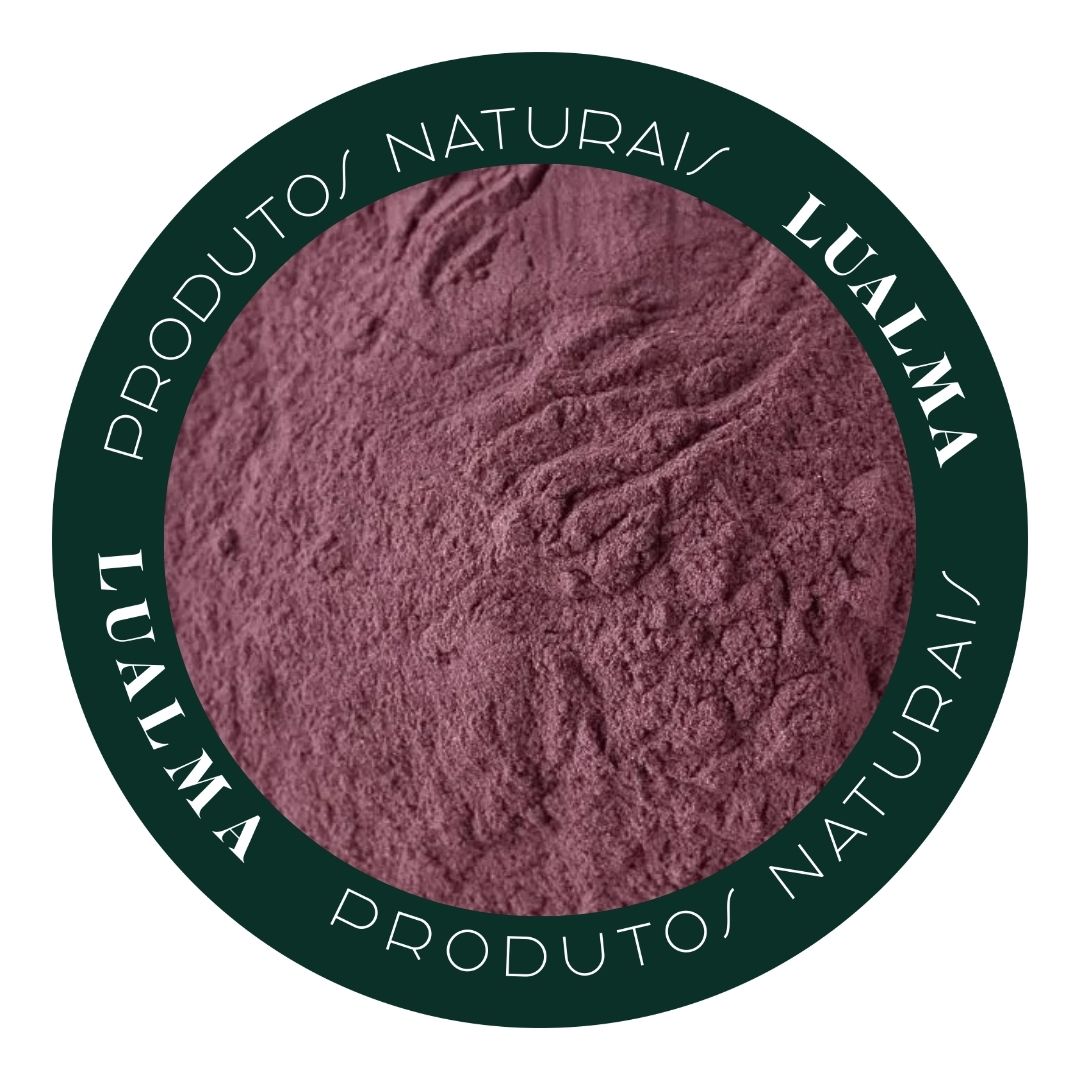 POLPA DE AÇAI (100g)