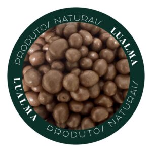 DRAGEADO UVA PASSA CHOCOLATE AO LEITE (100g)