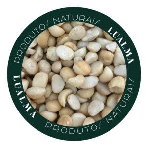 MACADÂMIA S/SAL (100g)