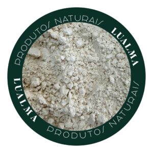 LEITE DE SOJA (100g)