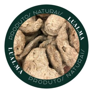 PROTEINA DE SOJA ESCURA EM BIFE (100g)