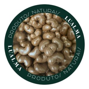 DRAGEADO DE CASTANHA DE CAJU AO LEITE ZERO AÇUCAR (100g)