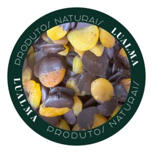 DAMASCO MERGULHADO NO CHOCOLATE 70% ZERO AÇUCAR (100g)