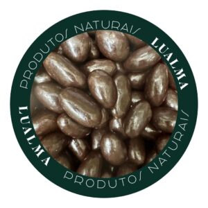 DRAGEADO DE CASTANHA DO PARÁ COM CHOCOLATE 70% ZERO AÇUCAR (100g)