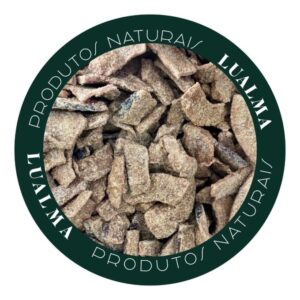 COCO CHIPS CARAMELIZADO COM AÇUCAR MASCAVO (100g)